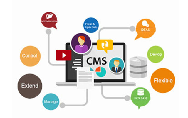 Content Management Systems(CMS) - Chaster IT Solutions Pvt. Ltd.